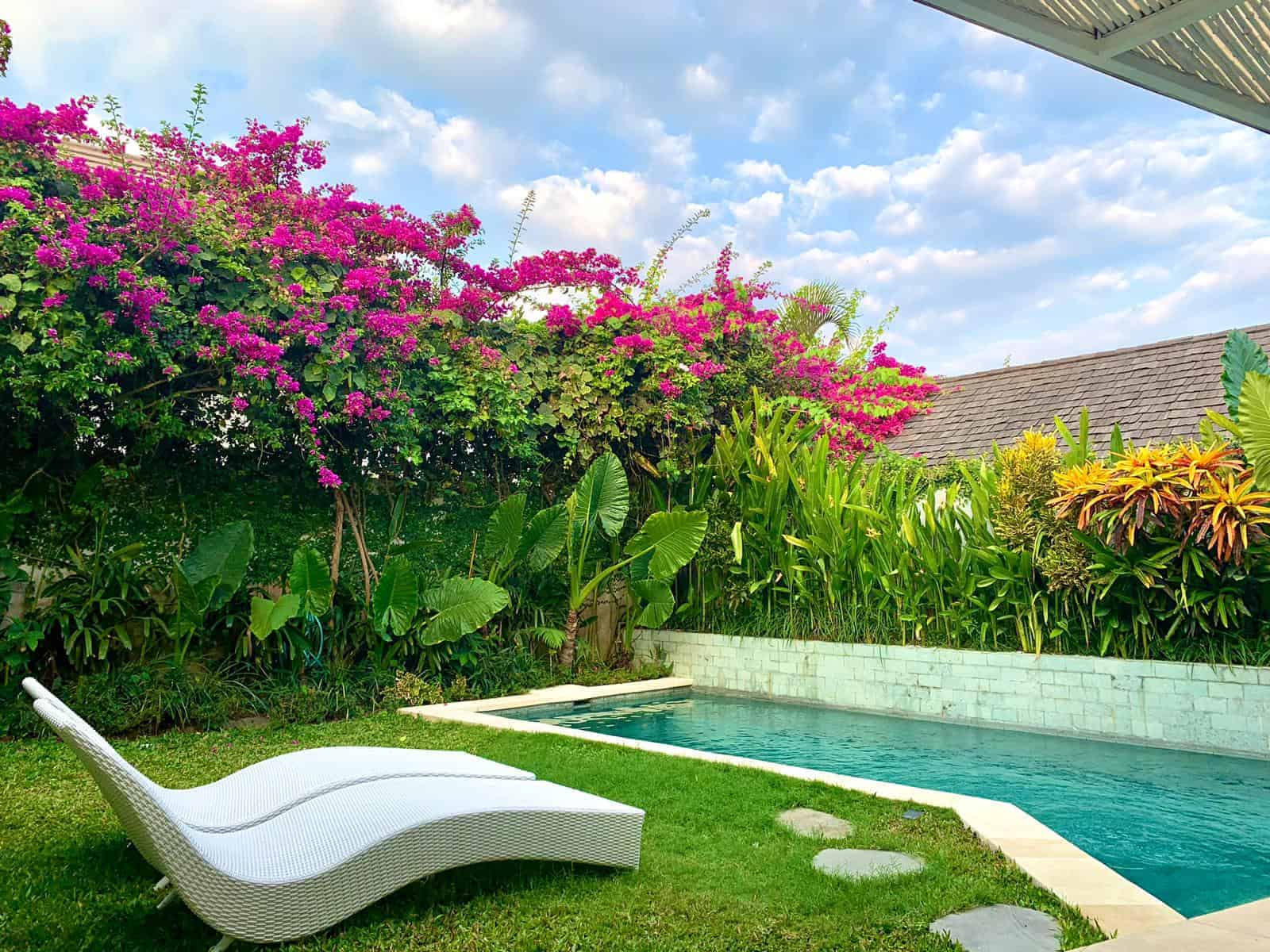 Tropical garden with pool and lounge chair