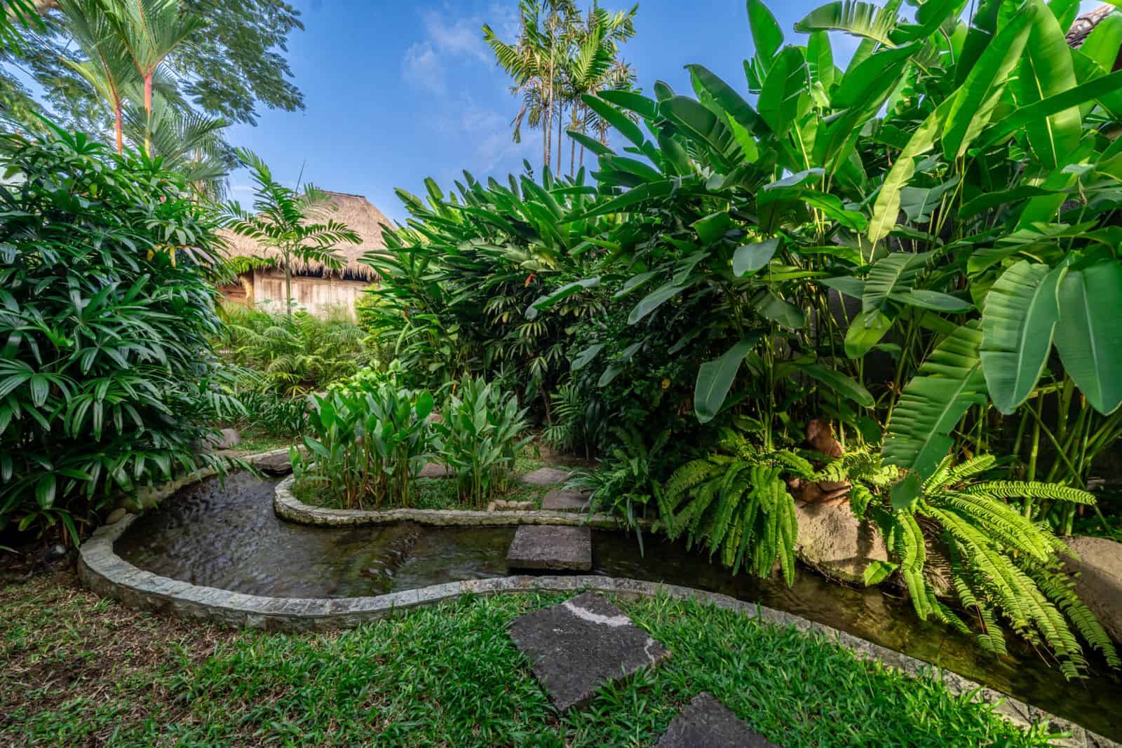 Lush tropical garden with small stream
