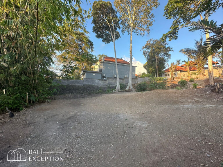 prime location 700sqm land in canggu for sale leasehold – bel01 (8)