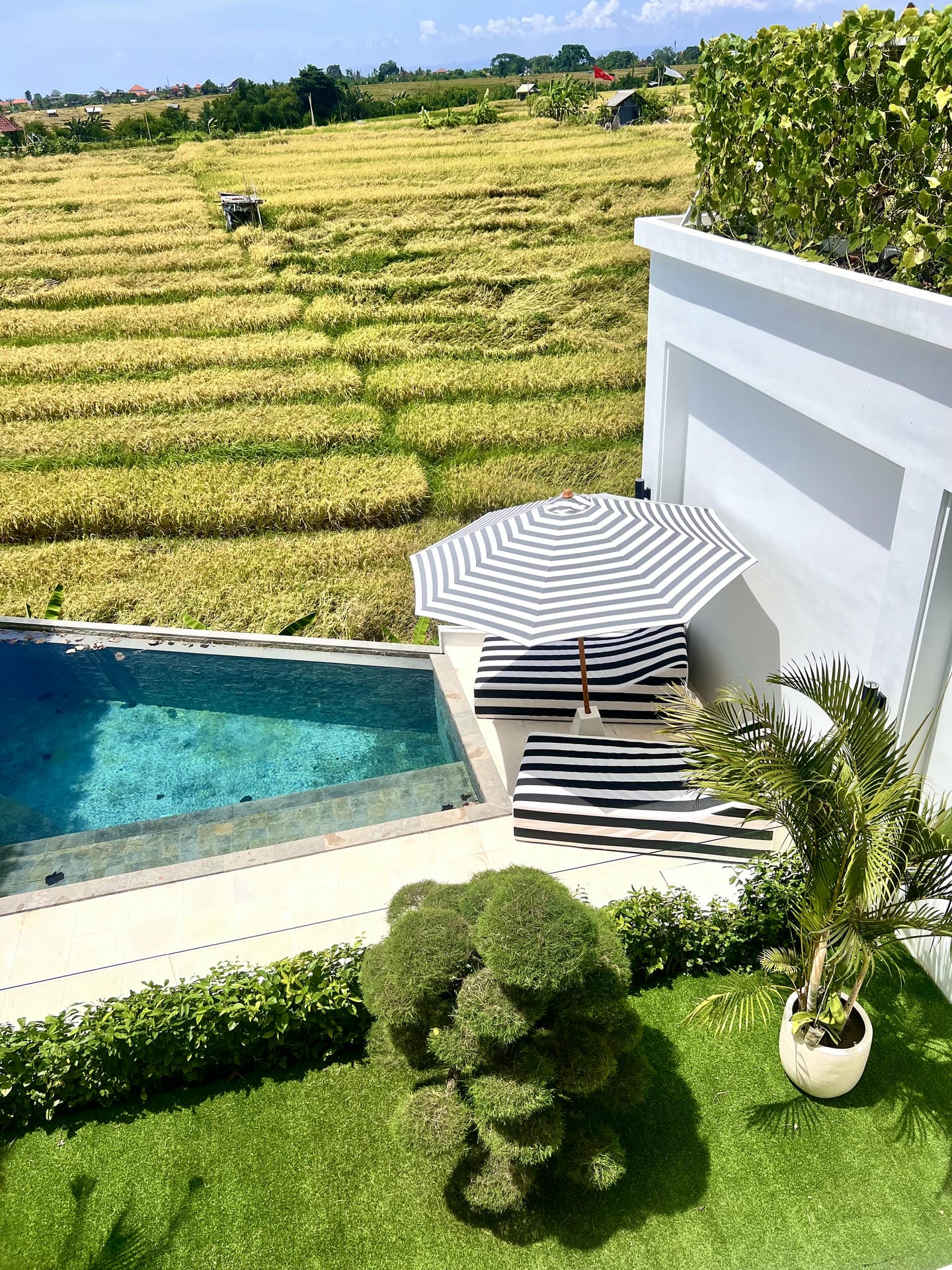 Poolside view with umbrella, fields, and greenery.
