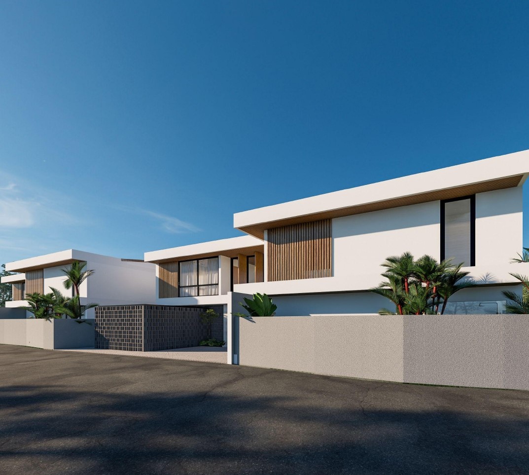 Modern house with palm trees and clear sky