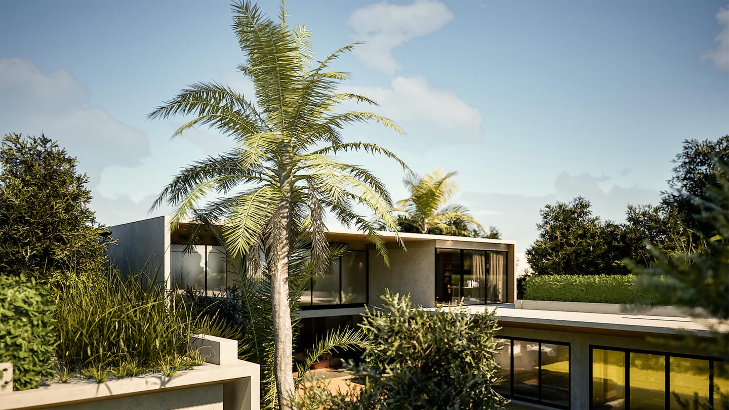 Modern house surrounded by tropical palm trees.