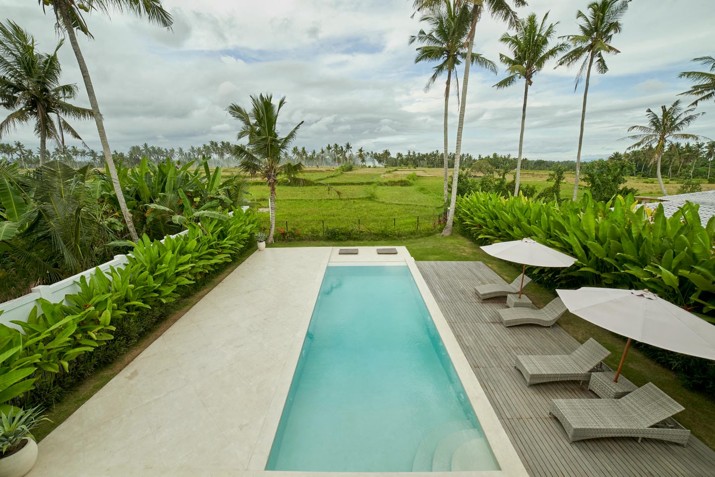 Tropical poolside view with palm trees and greenery.
