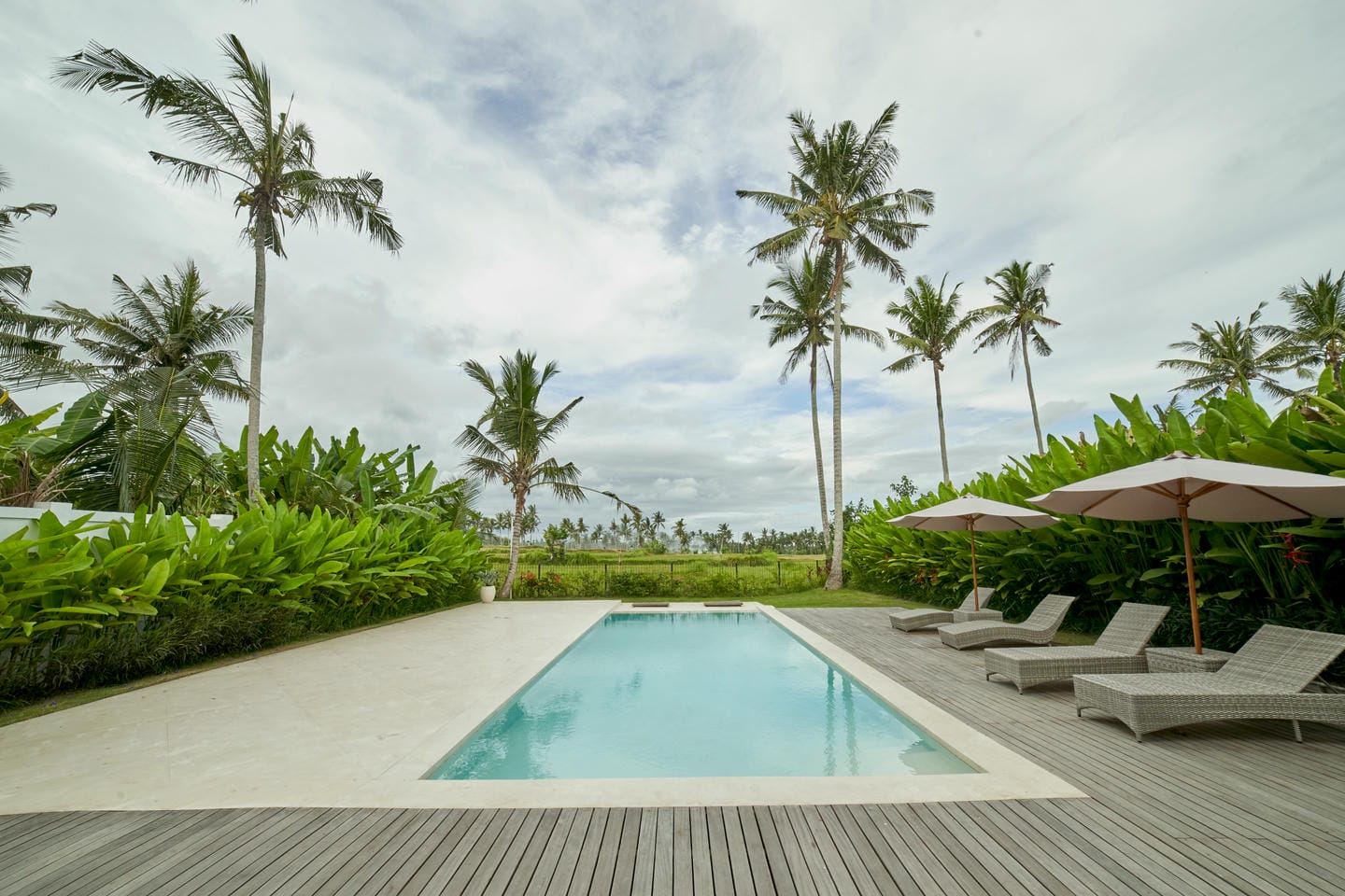 Tropical pool with palm trees and loungers.