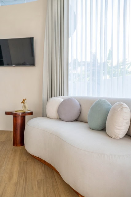Modern living room with curved sofa and TV.