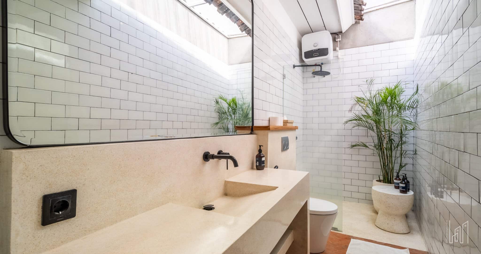 Modern bathroom with plants and natural light