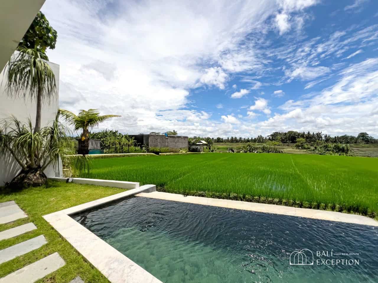 Infinity pool overlooking lush green rice fields.