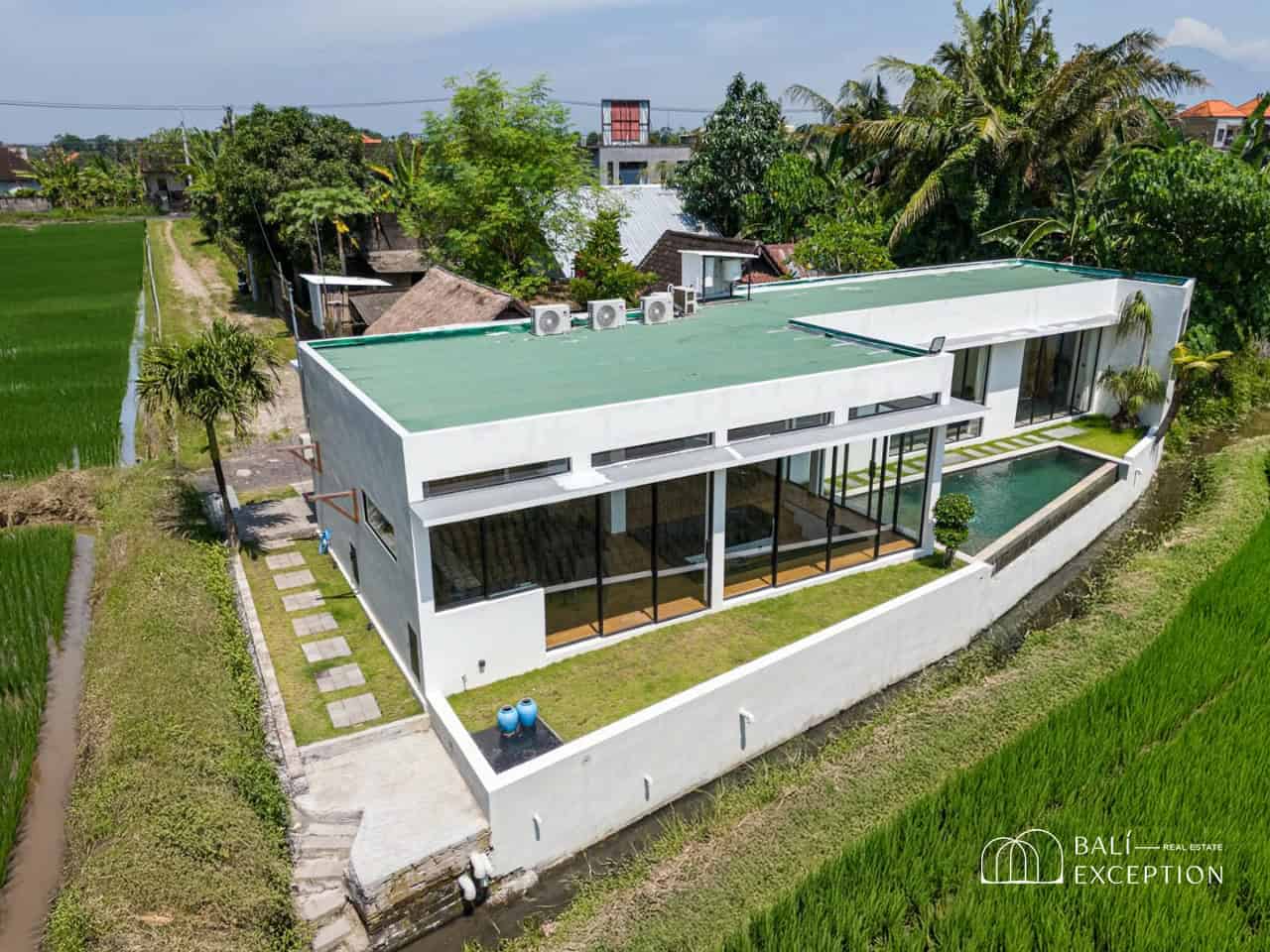 Modern villa surrounded by lush greenery