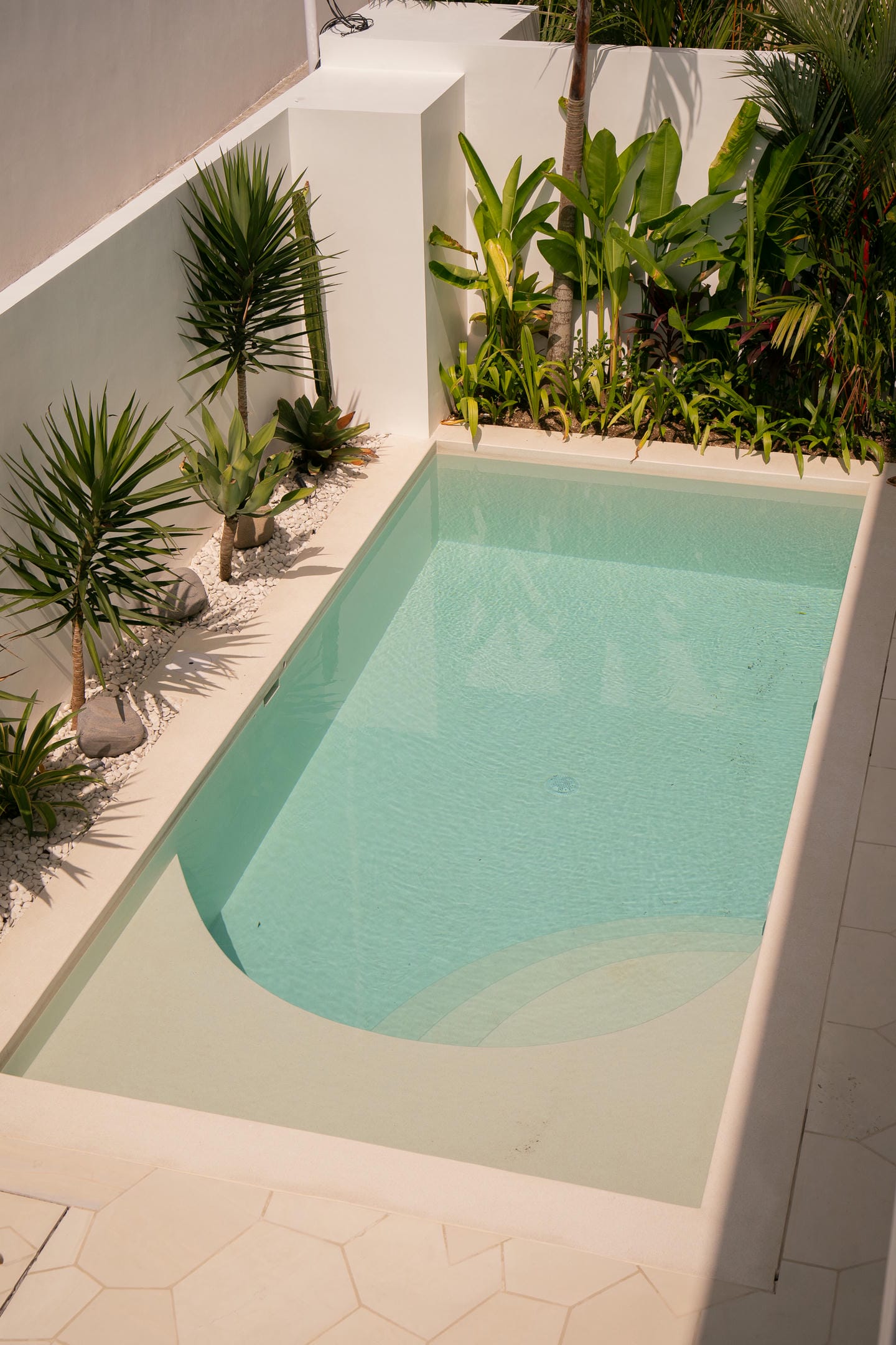 Small backyard pool with tropical plants.