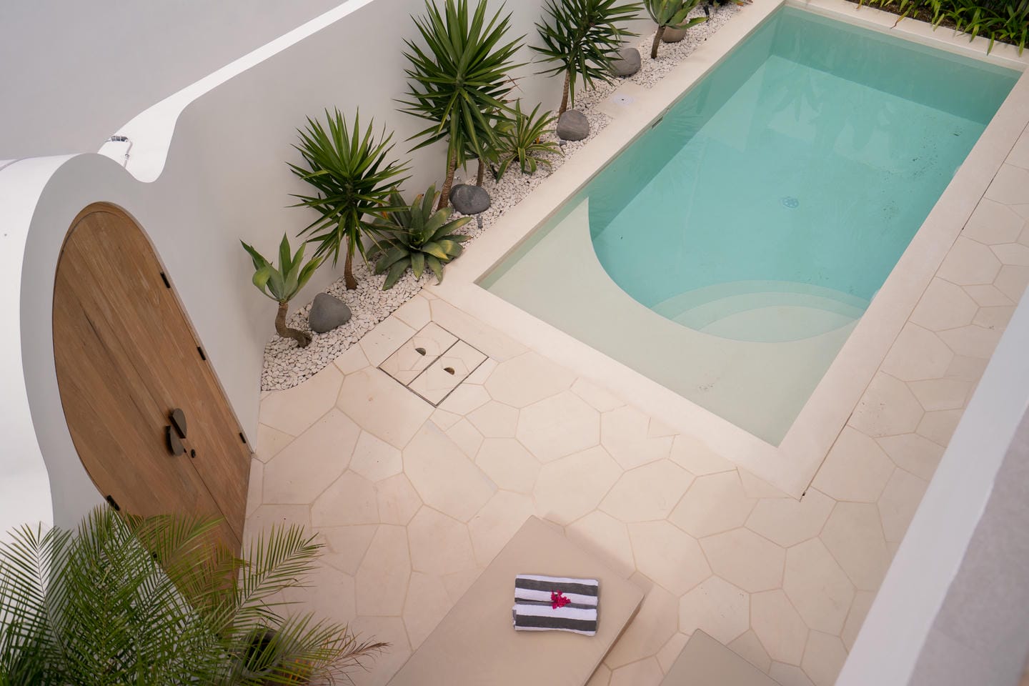 Modern small pool with plants and wooden door.