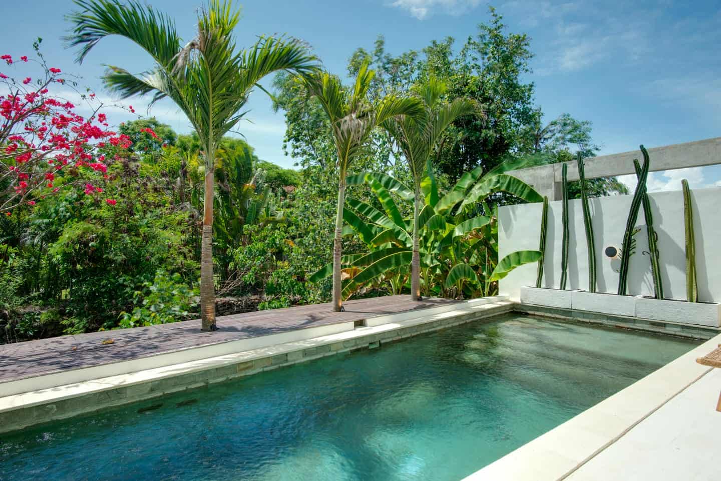 Tropical pool with palm trees and cacti.