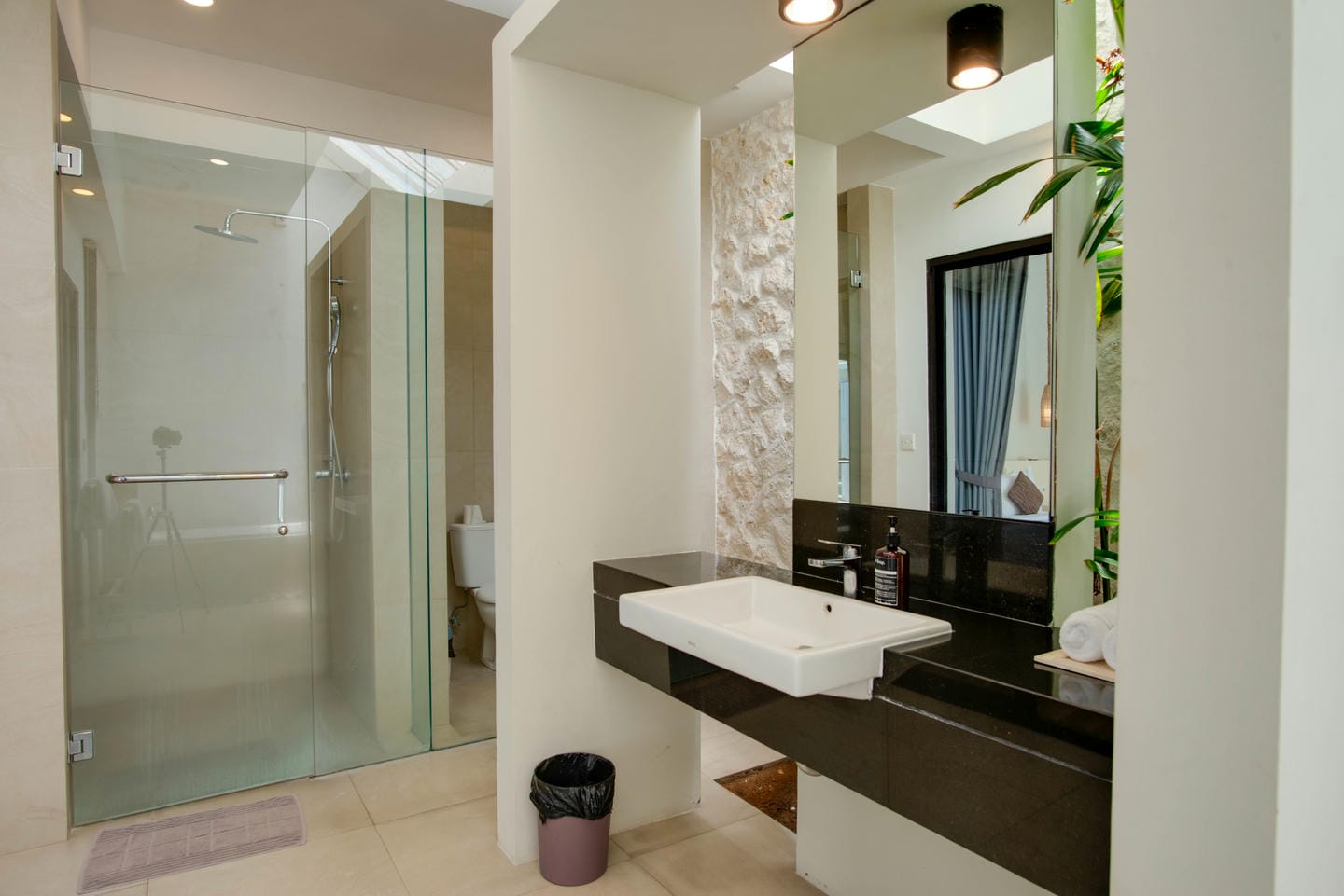 Modern bathroom with glass shower and black countertop sink.