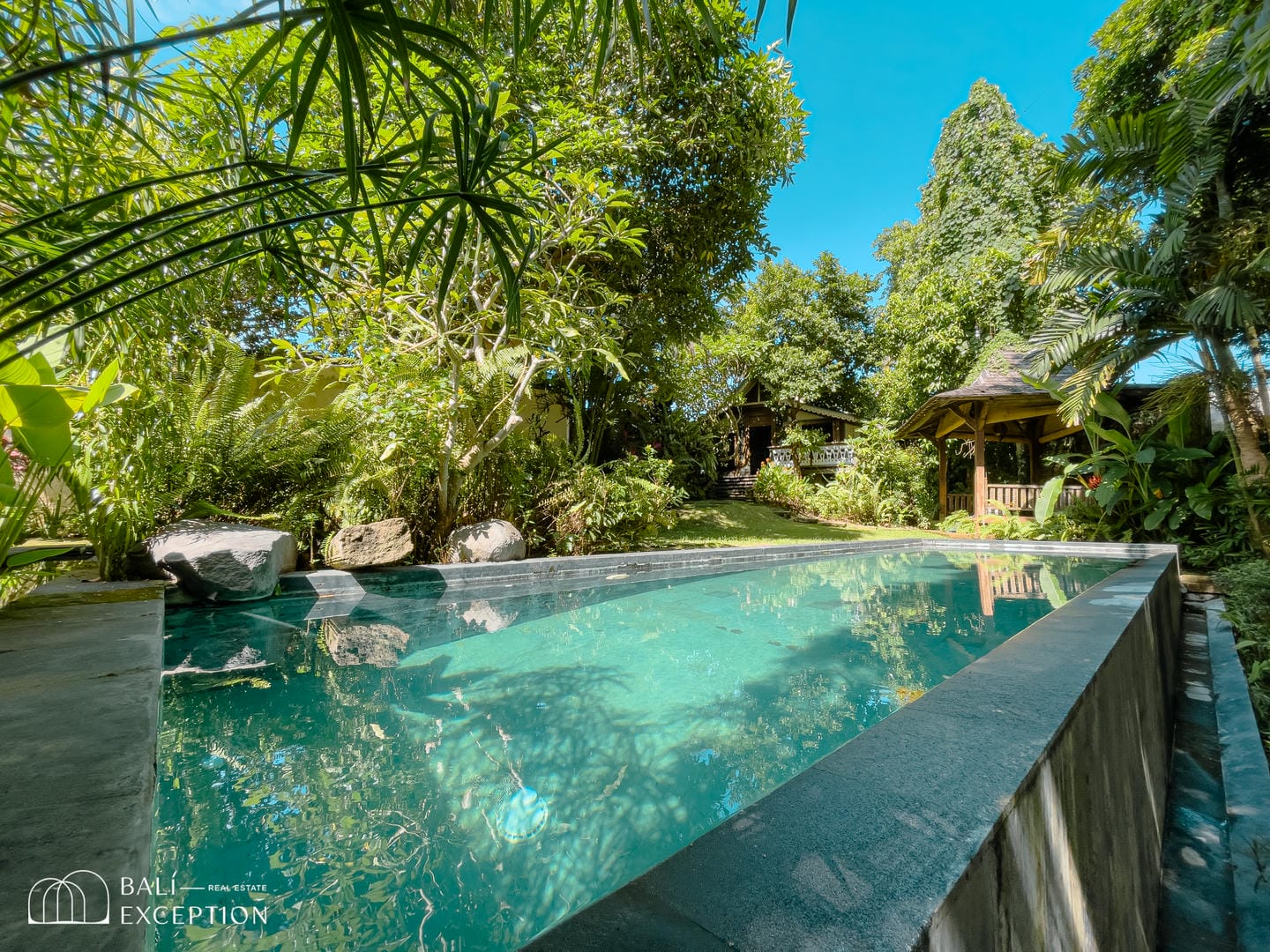 Tropical garden with pool and lush greenery.