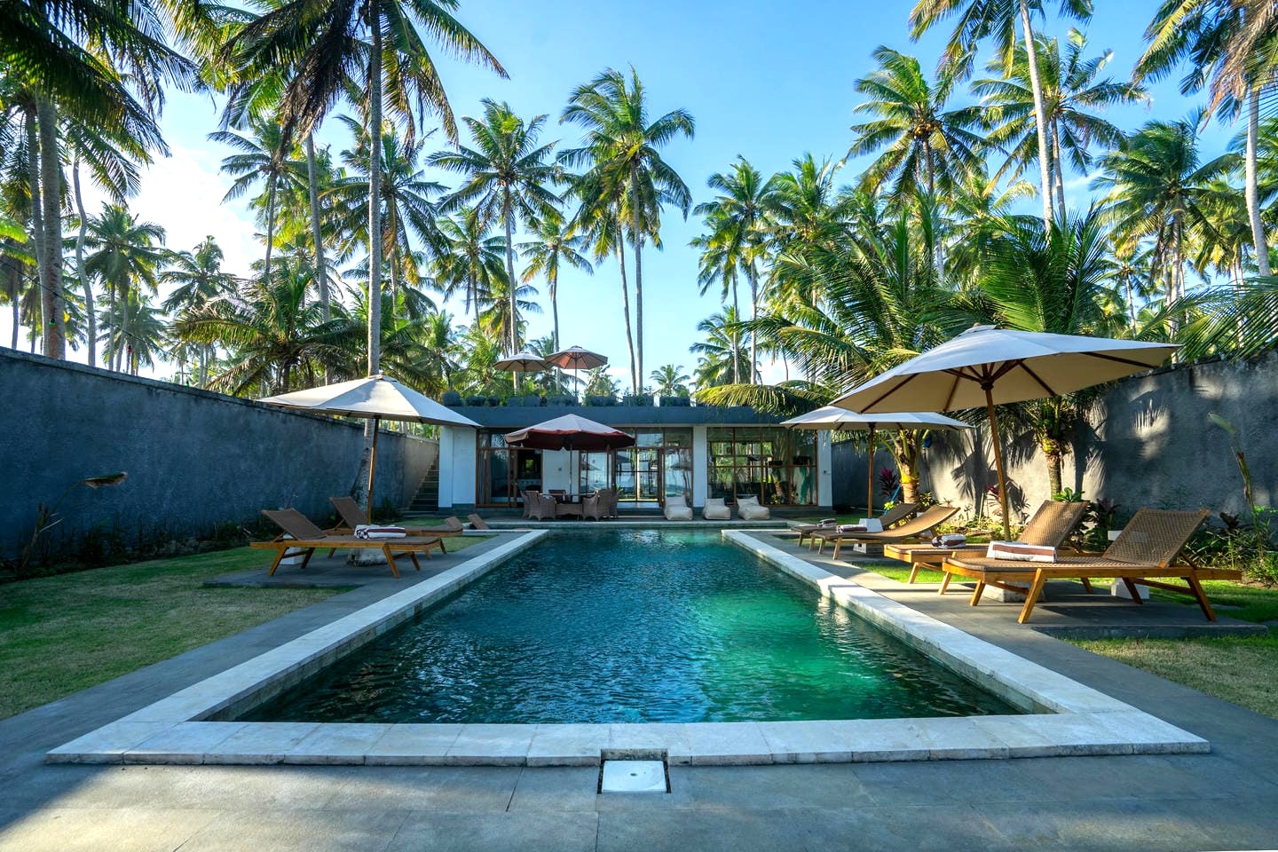 Lush tropical resort pool with palm trees.