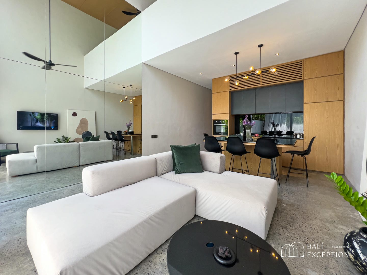 Modern open-concept kitchen and living room with sofa.