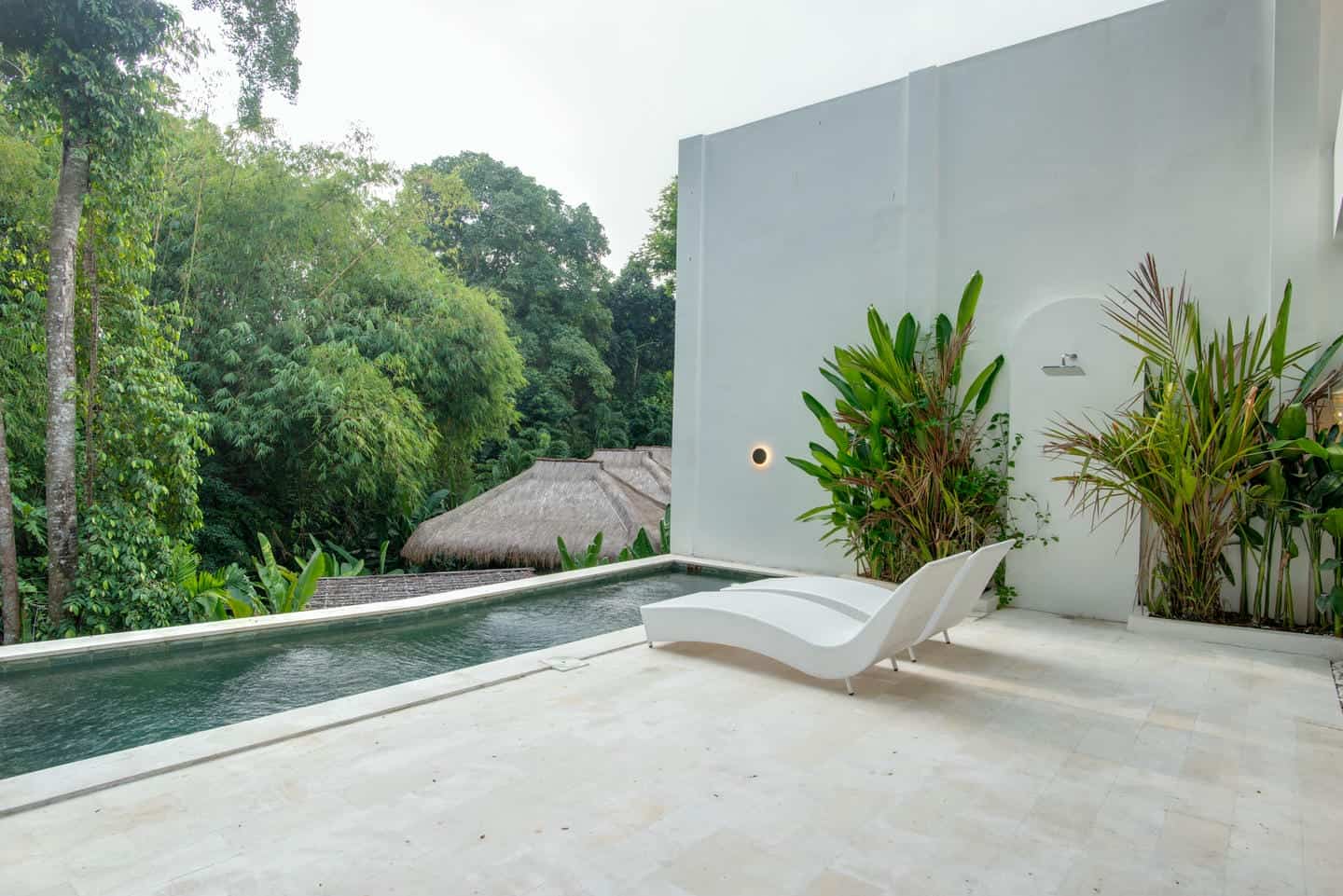 Modern patio with pool and tropical plants.