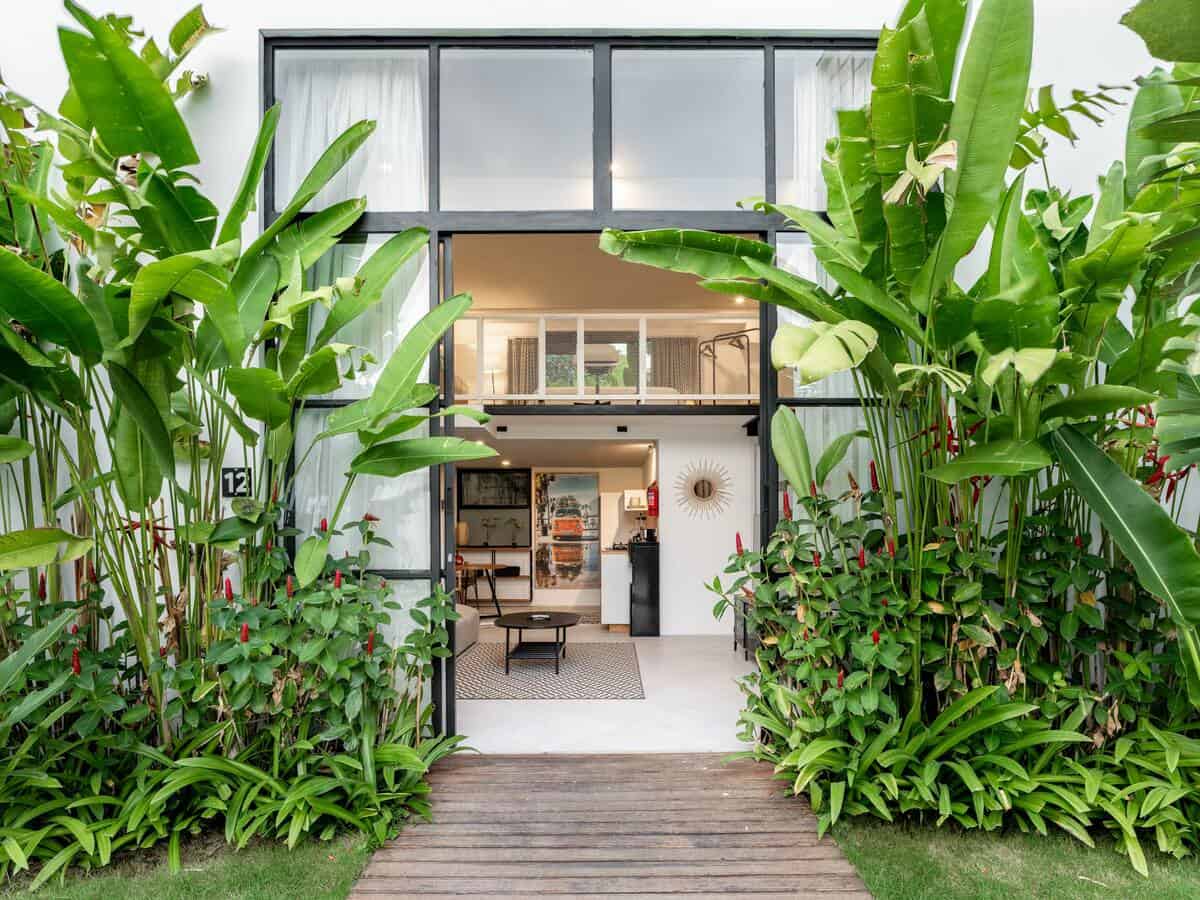 Modern home entrance with lush tropical plants.