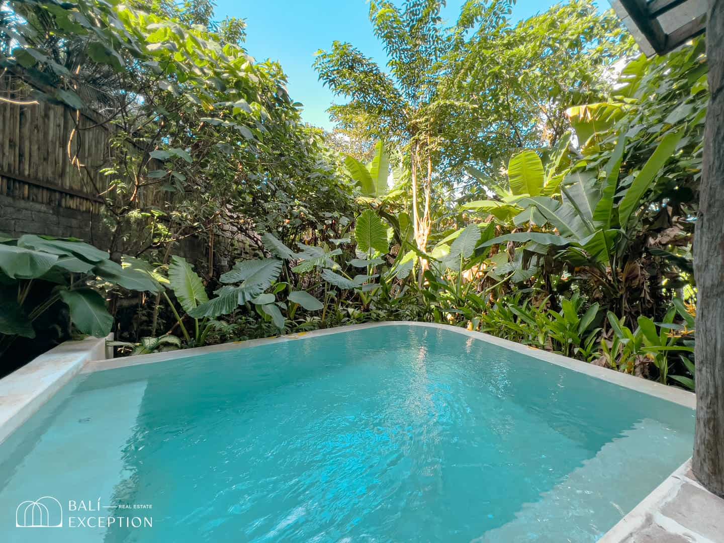 Tropical pool surrounded by lush greenery.