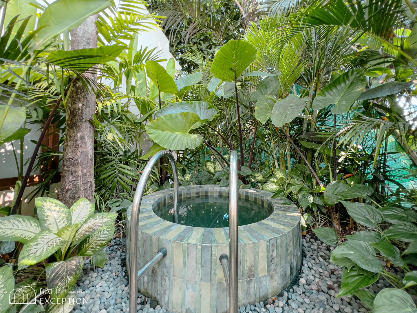 Round plunge pool surrounded by lush tropical plants.