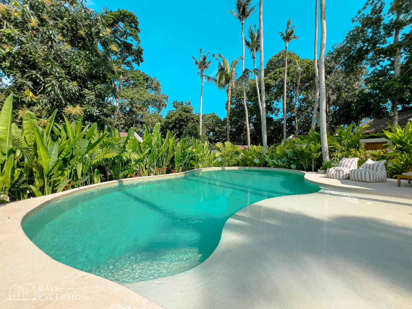 Tropical swimming pool surrounded by lush greenery.